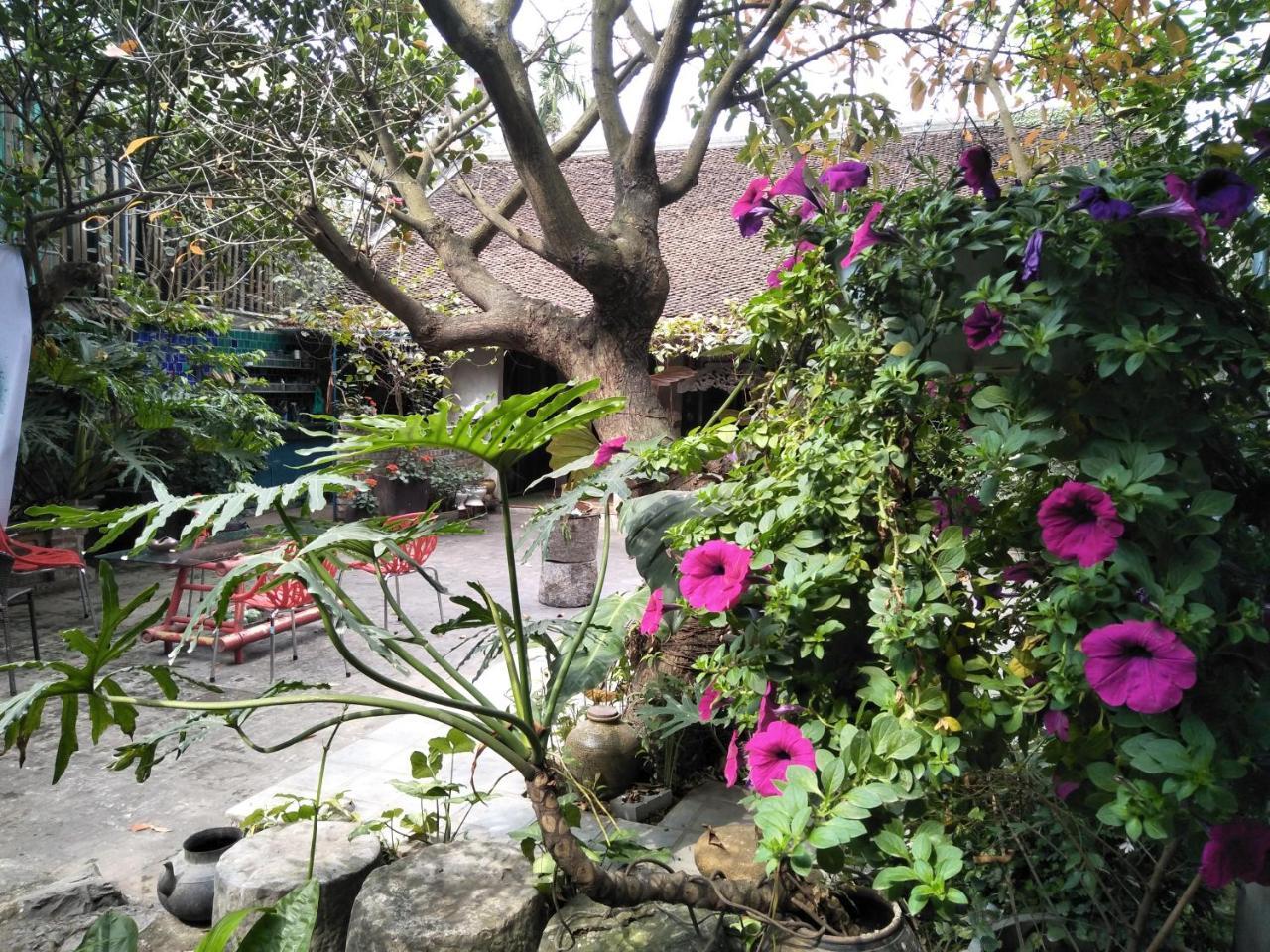 Polygon Art And Homestay * Hanoi