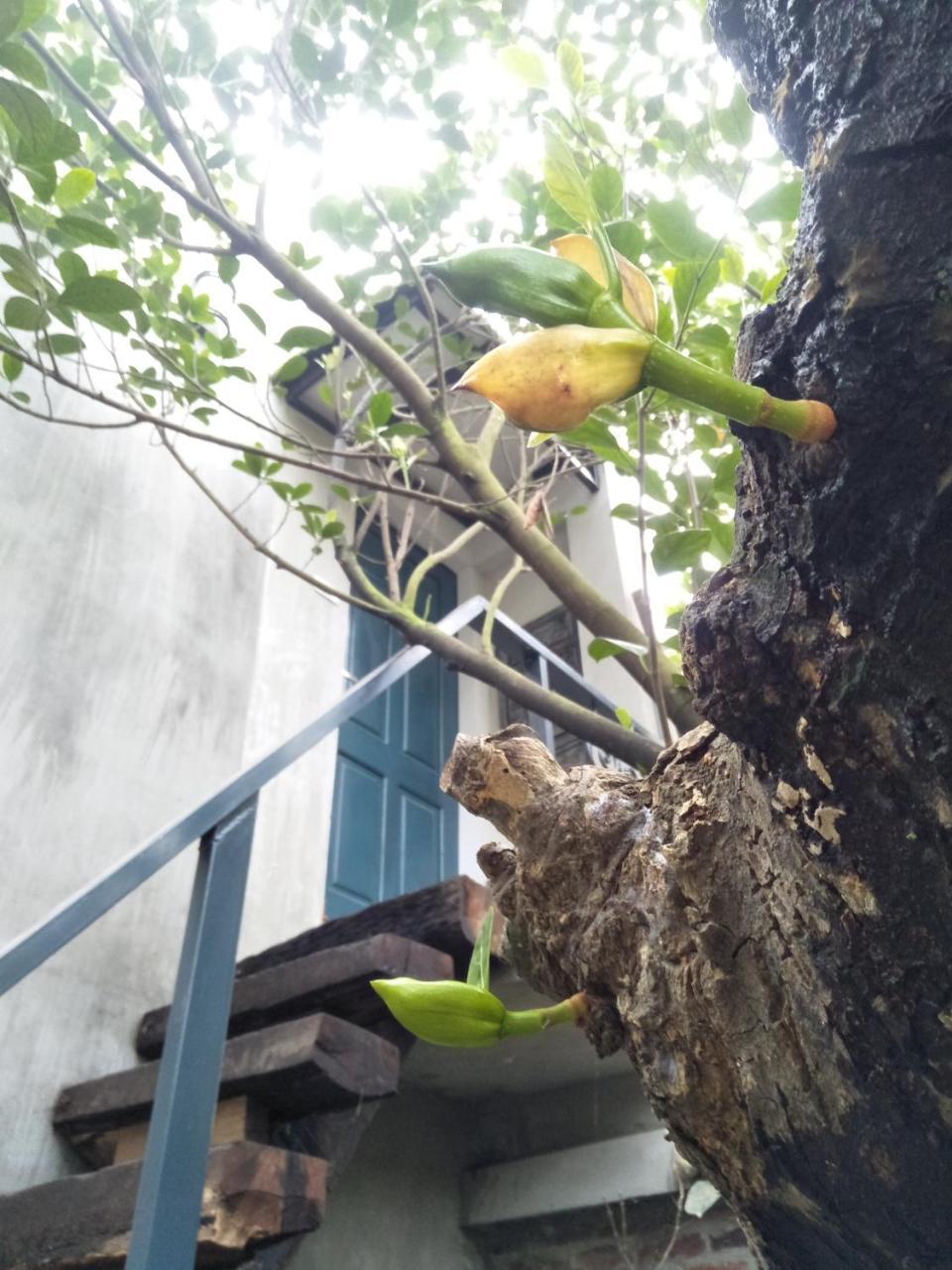 Lodge Polygon Art And Homestay Hanoi