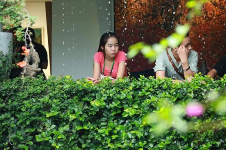 Polygon Art And Homestay