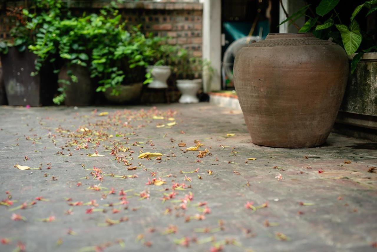 Polygon Art And Homestay Hanoi