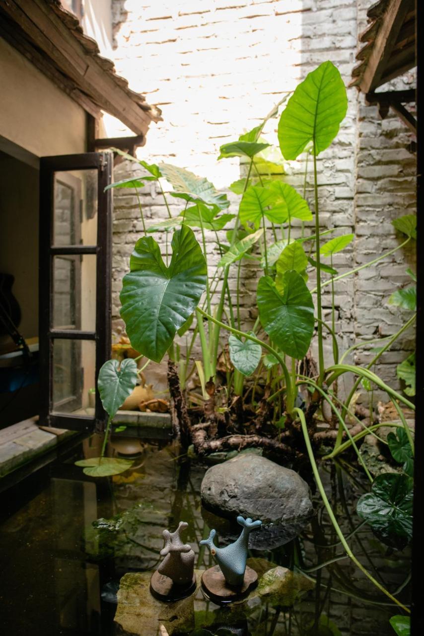 Polygon Art And Homestay Lodge Hanoi