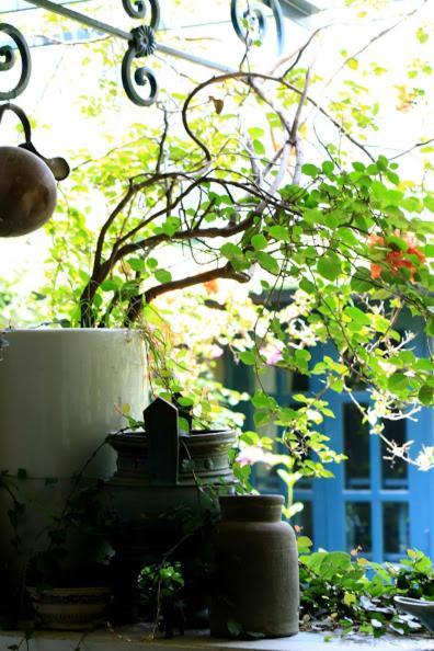 Polygon Art And Homestay Lodge