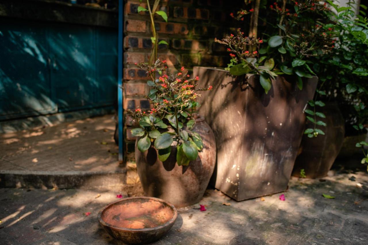 Polygon Art And Homestay * Hanoi