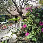 Polygon Art And Homestay